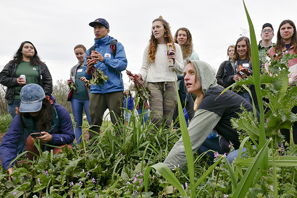 Tabitha Ernst, as a part of a group touring Urban Roots Farm on Saturday, picks a complimentary beet. Per their 2018-201
